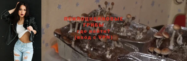 кокаин перу Дмитриев