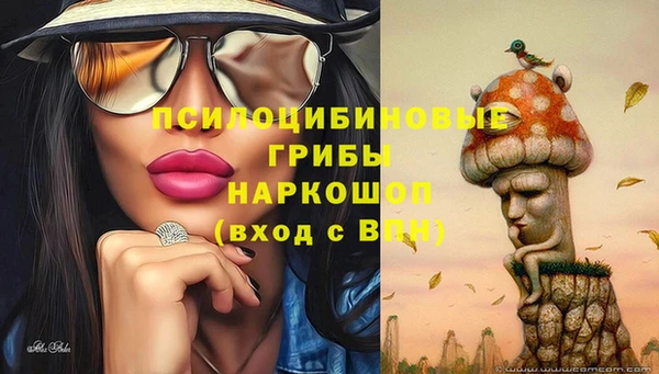 кокаин перу Дмитриев