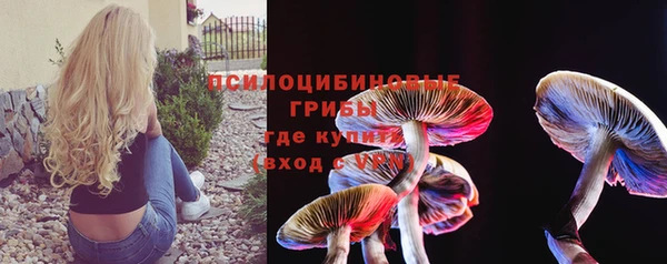 прущая мука Дмитров